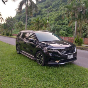 Thuê xe Kia Carnival